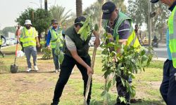 أمانة بغداد تعلن عن حملة تشجير وتحدّد نسبة إنجاز الحزام الأخضر